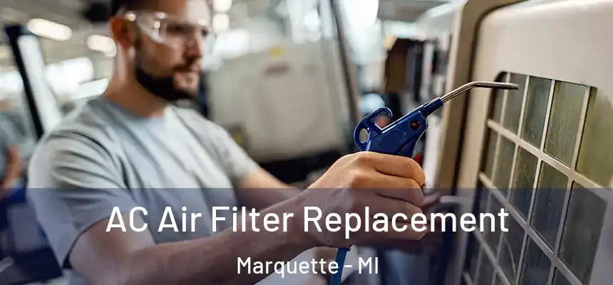  AC Air Filter Replacement Marquette - MI
