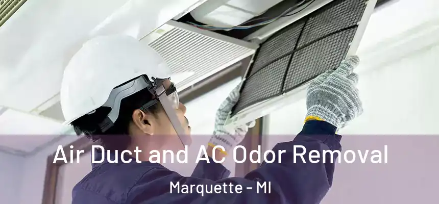 Air Duct and AC Odor Removal Marquette - MI
