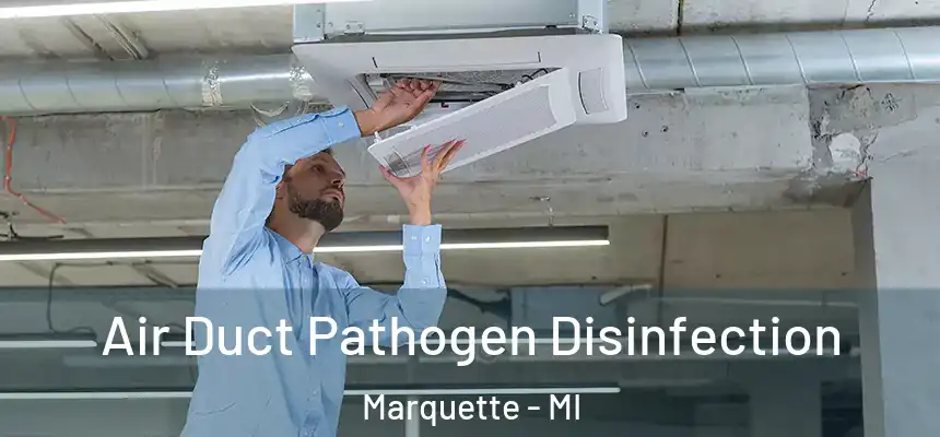 Air Duct Pathogen Disinfection Marquette - MI