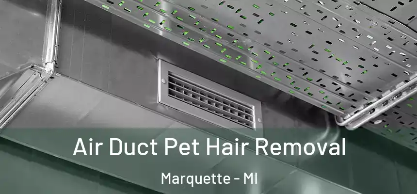 Air Duct Pet Hair Removal Marquette - MI