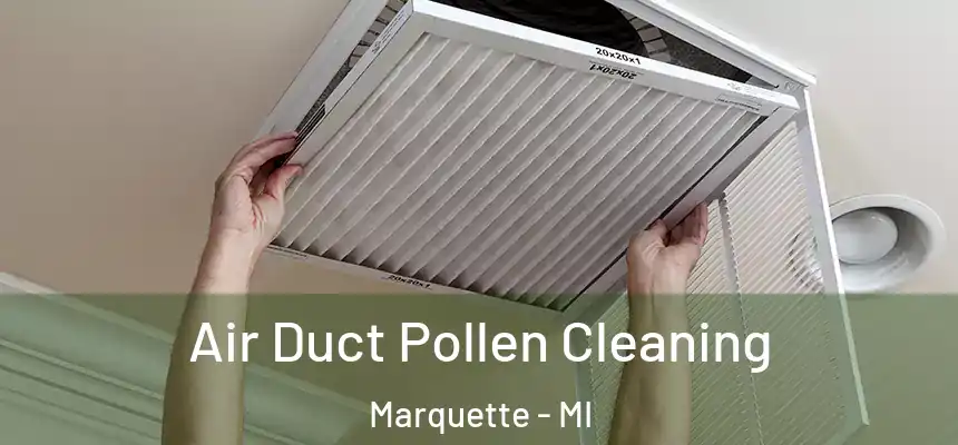  Air Duct Pollen Cleaning Marquette - MI