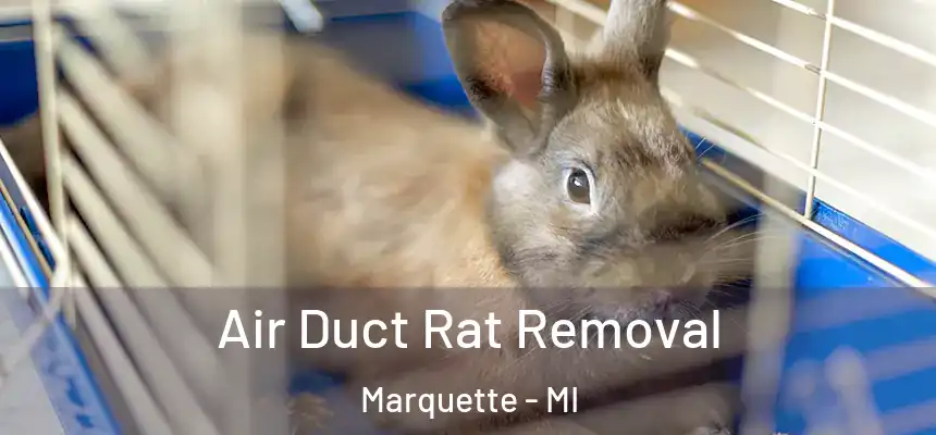 Air Duct Rat Removal Marquette - MI