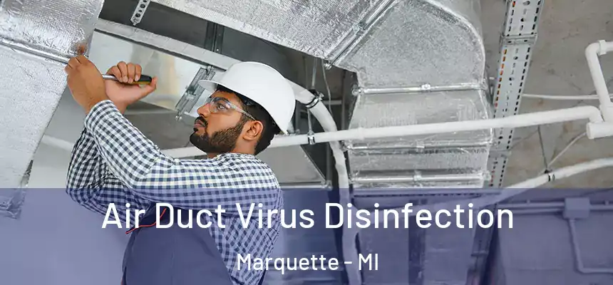 Air Duct Virus Disinfection Marquette - MI