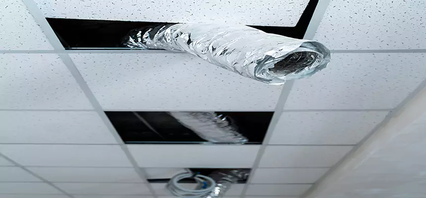 Affordable HVAC Sanitizing After Pest Removal in Marquette