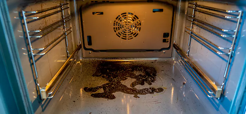 Our Dryer Vent Mold Cleaning Services in Marquette, MI