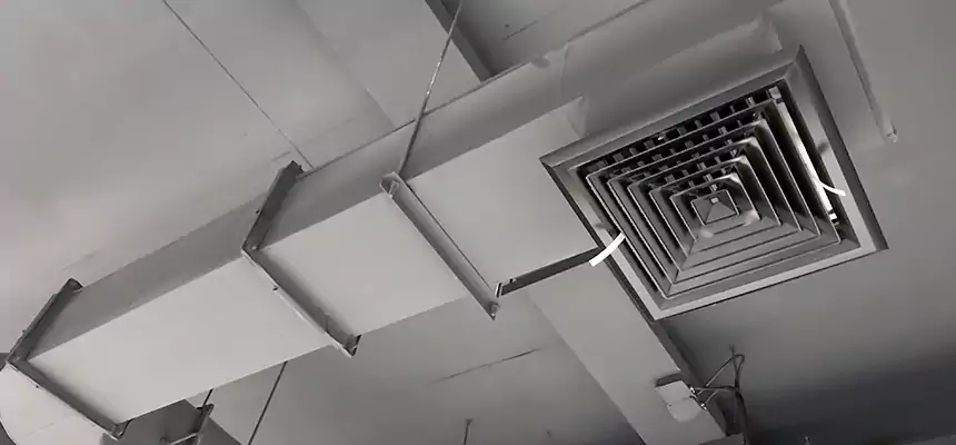 Our Pest Removal From Ducts Services in Marquette, MI