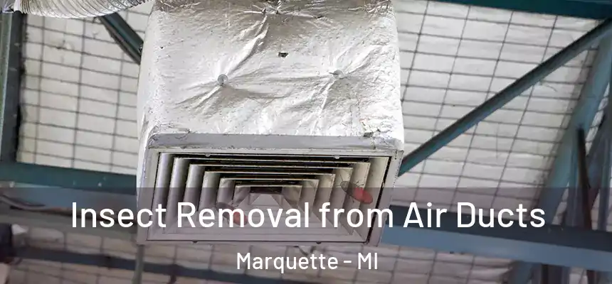Insect Removal from Air Ducts Marquette - MI