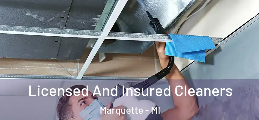  Licensed And Insured Cleaners Marquette - MI