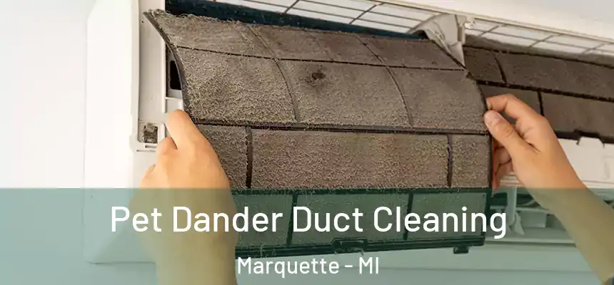  Pet Dander Duct Cleaning Marquette - MI