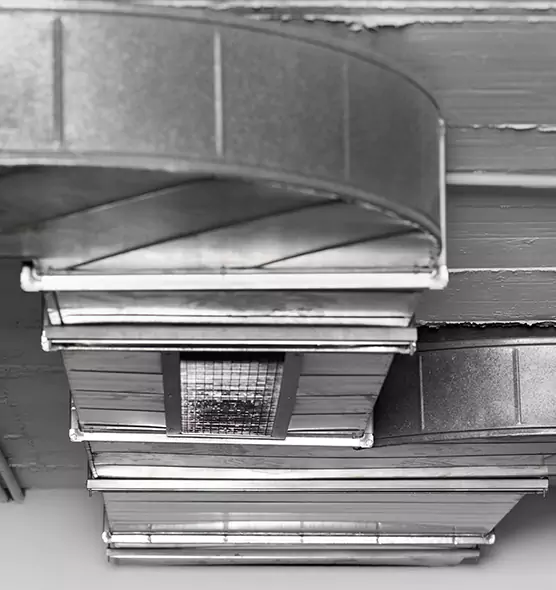 Professional Air Duct Pest Removal in Marquette, MI