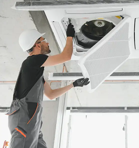 About Air Duct Rodent Removal in Marquette, MI