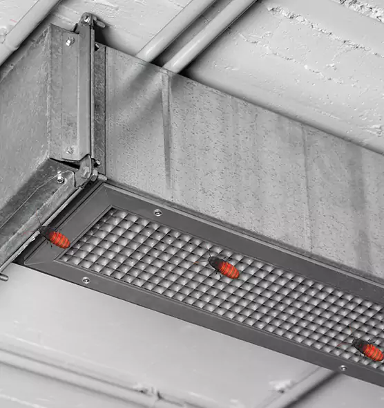 Affordable Insect Removal from Air Ducts in Marquette, MI