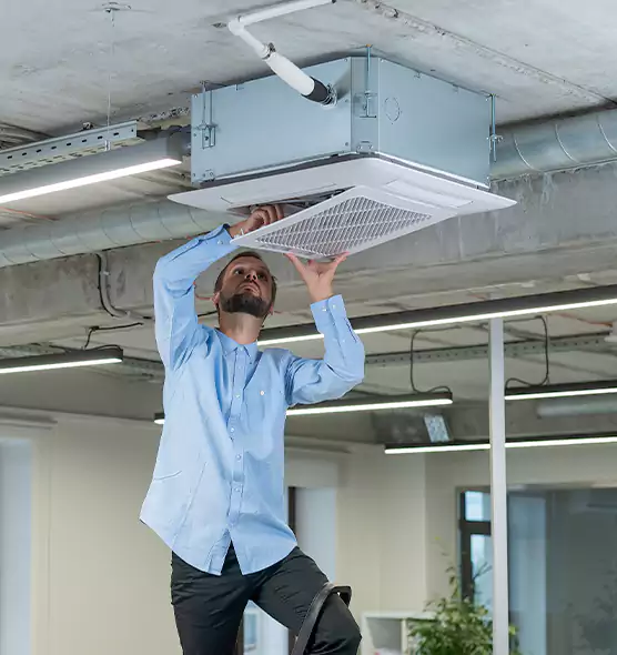 Advanced Rodent Droppings In Vents in Marquette, MI