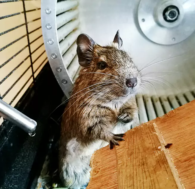 Why Homeowners & Businesses Trust Us Marquette, MI