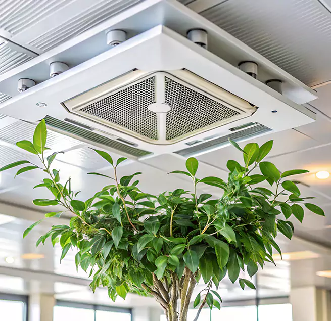 Why Homeowners & Businesses Trust Us in Marquette, MI?